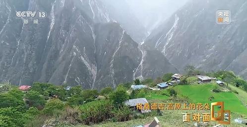 大山最新爆料,揭秘娱乐圈不为人知的幕后真相